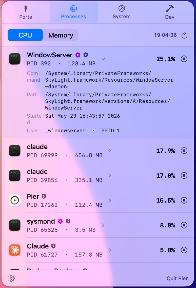 Pier processes